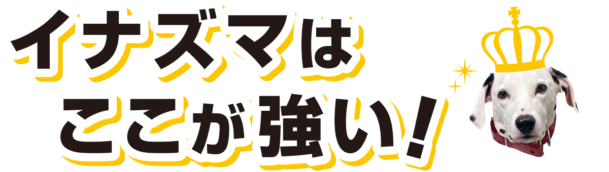 イナズマはここが強い:福島県郡山市の住宅リフォームは株式会社イナズマへ